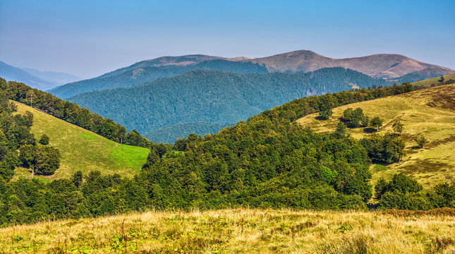 summer meadow on hillside of mountain range