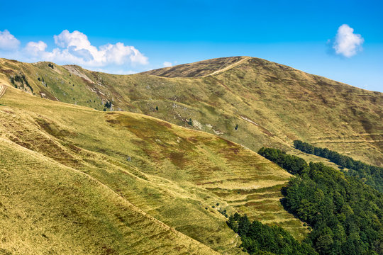 Carpathian Mountain Range in late summer