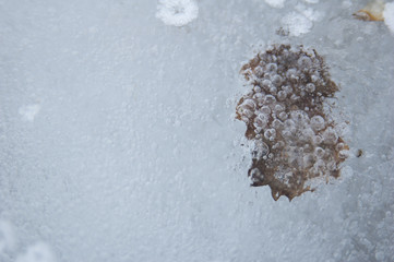 bubbles on the ice
