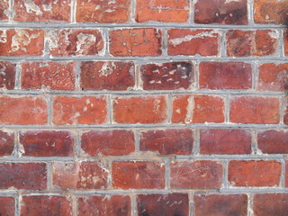 Obraz premium texture