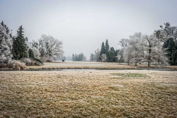 Park in winter, Lednice (World Heritage Site), Czech Republic