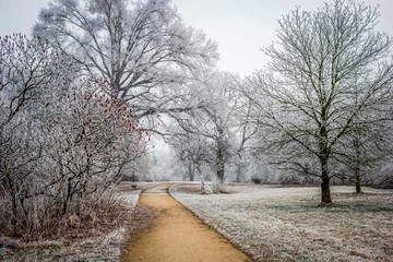 Park in Lednice in winter with frosted trees