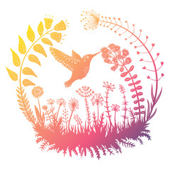 Vector illustration. Stylized hummingbird drinking nectar from the flower. Exotic bird flying in the field grass. Ornamental plants in a circle. Line art. Drawing.