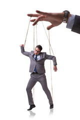 Businessman puppet isolated on white background