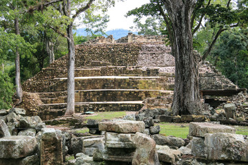 Fototapeta premium Mayan Ruins of Copan in Honduras