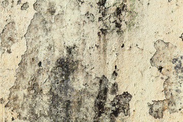Old yellow grungy concrete wall, background