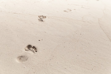 Footprints in white coastal sand, ocean beach