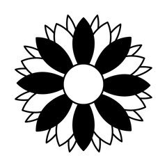 cute flower garden isolated icon vector illustration design