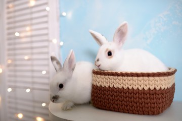 Easter rabbits in knitted basket