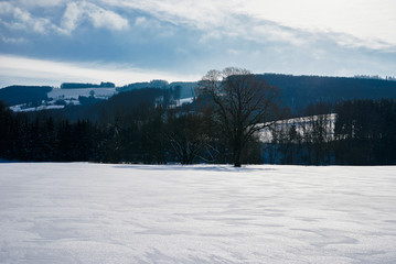 Kammerhof im Winter; Kammerhof in winter