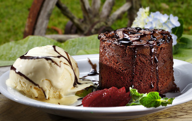 Chocolate Cake with Fresh, ice cream