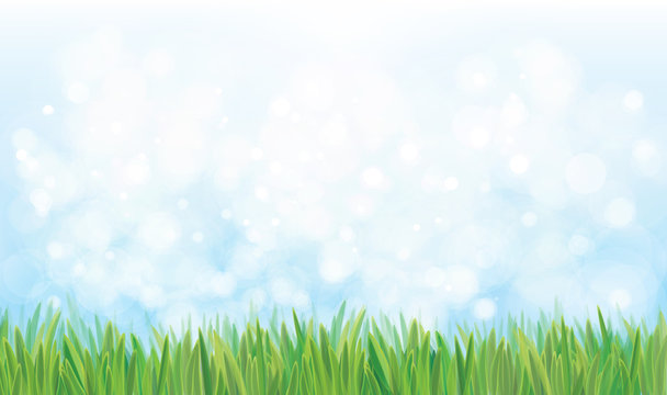 Vector  nature background, blue sky and green grass.