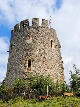 Dudley Castle Tower.