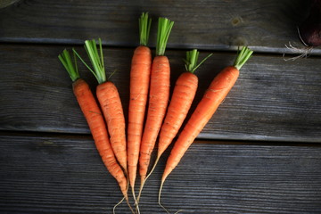 Морковки 