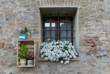 Fototapeta na wymiar Blumenschmuck an einem vergitterten Fenster