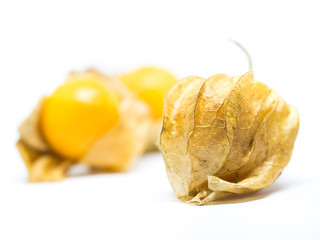 Closeup of Cape Gooseberry isolated on white background