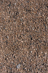Pebbles is in the desert.
