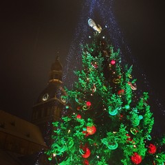 Cathedral of Saint Martin   