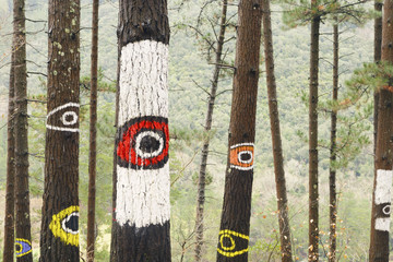 Painted trees on the forest of Oma, Urdaibai Biosphere Reserve, Biscay, Spain.