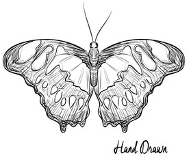 swallowtail butterfly sticker