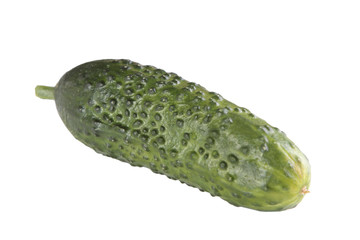 delicious and juicy green cucumber isolated on white background