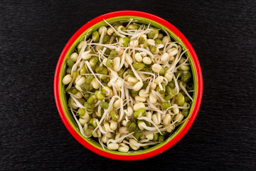 Pea seeds with sprouts close up