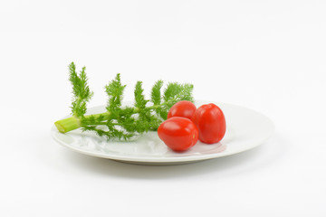 twig of dill and cherry tomatoes