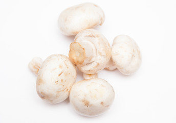 Mushrooms on a white background