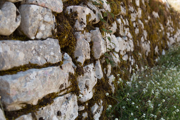 Sone moss vintage old wall in a Montenegro village with white flowers growing in front of it. Close up