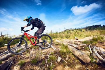 Plakat Female Mountain Bike cyclist riding track at sunny day in European mountains