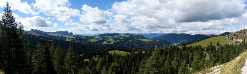 Fototapeta na wymiar Blick über den Ochsenwald ins Grödner Tal