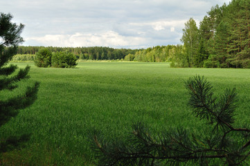 landscape