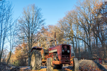 Fototapeta na wymiar Old tractor stored in the forrest in winter