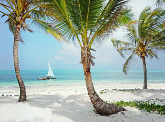Tropical white beach with palm trees