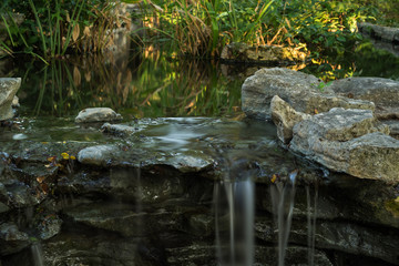 Upper pond at Zilker Gardens, Austin, TX