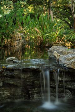 Upper pond at Zilker Gardens, Austin, TX