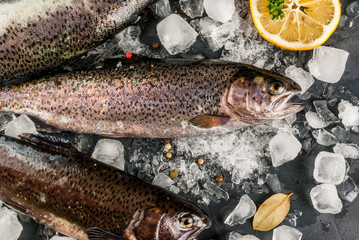 Fresh raw fish brown trout on a stone table with ice, lemon spices and herbs, top view