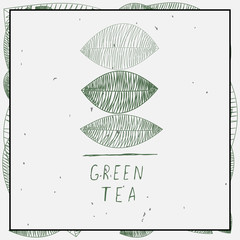 Вектор с листьями и словами зеленый чай на белом фоне в рамке