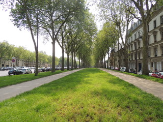 L'avenue