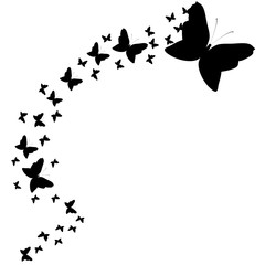 beautiful butterflies, isolated on a white