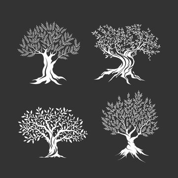 Olive trees silhouette icon set isolated