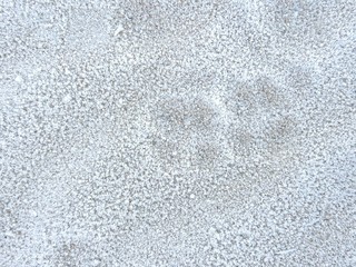 Empreinte gelée