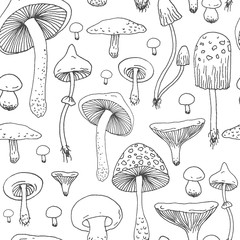 Seamless pattern with Forest mushrooms - vector outline hand drawn sketch. Collection of different mushrooms with roots, real eatable and poisoned boletus