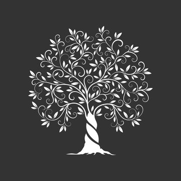 Olive tree silhouette icon isolated on dark background