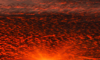 Fiery orange sunset  colorful and speckled  clouds. Beautiful sk