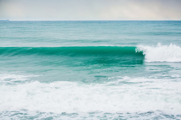 Bid green wave in ocean.