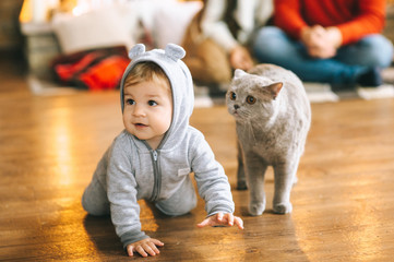 Christmas baby and cat