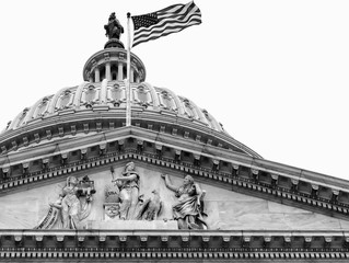 Washington DC Capitol dome close up detail in black and white. Isolated with copy space