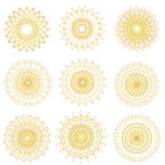 Vector Abstract Guilloche Elements on White Background. Use for