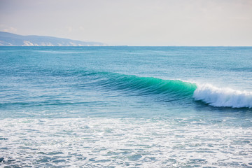 Clear wave in ocean. Sunny day